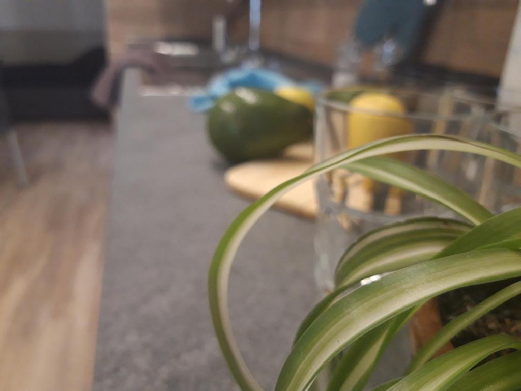 Hotel Garni Rosmari Brenzone sul Garda Pokoj fotografie