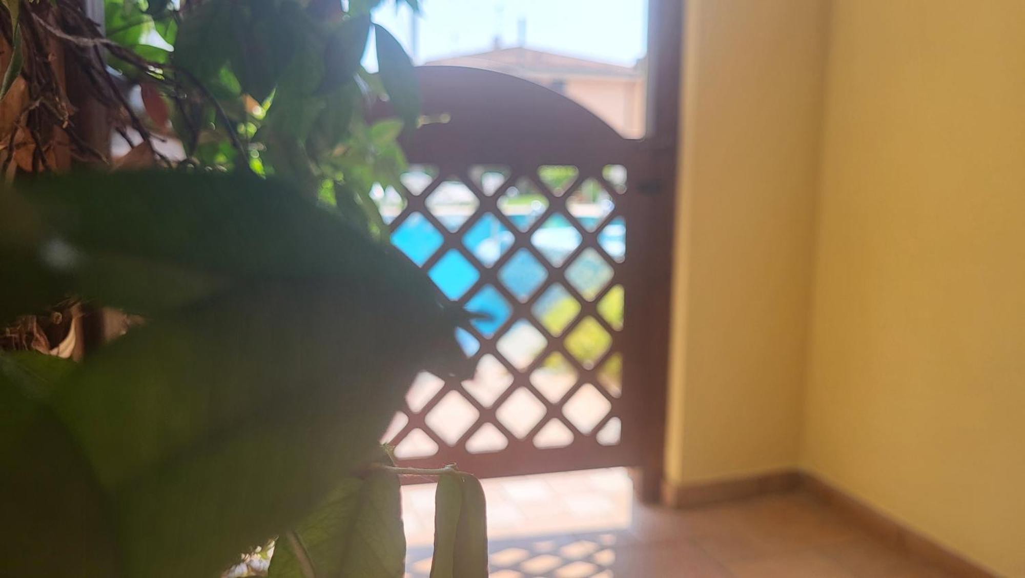 Hotel Garni Rosmari Brenzone sul Garda Exteriér fotografie